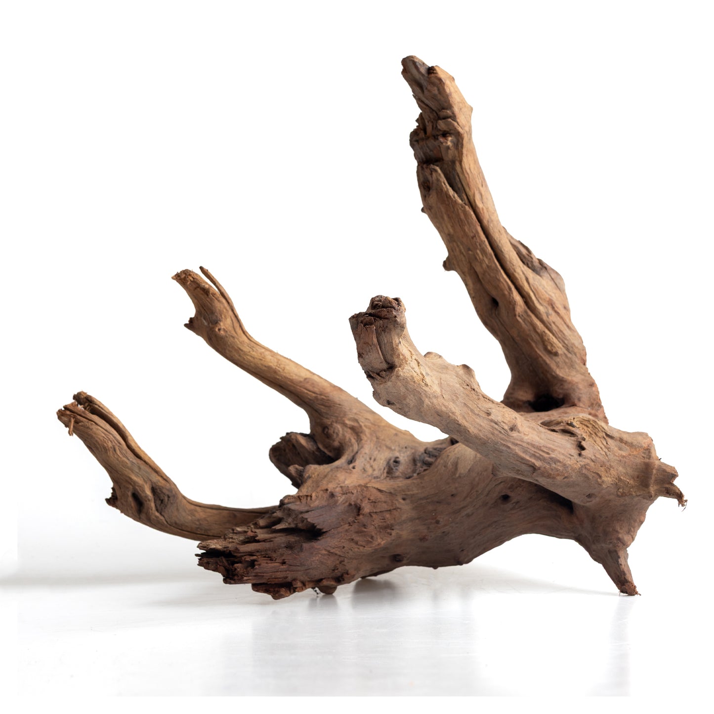 WYSIWYG Premium Natural Driftwood for Aquascaping – Exact Piece Shown A3