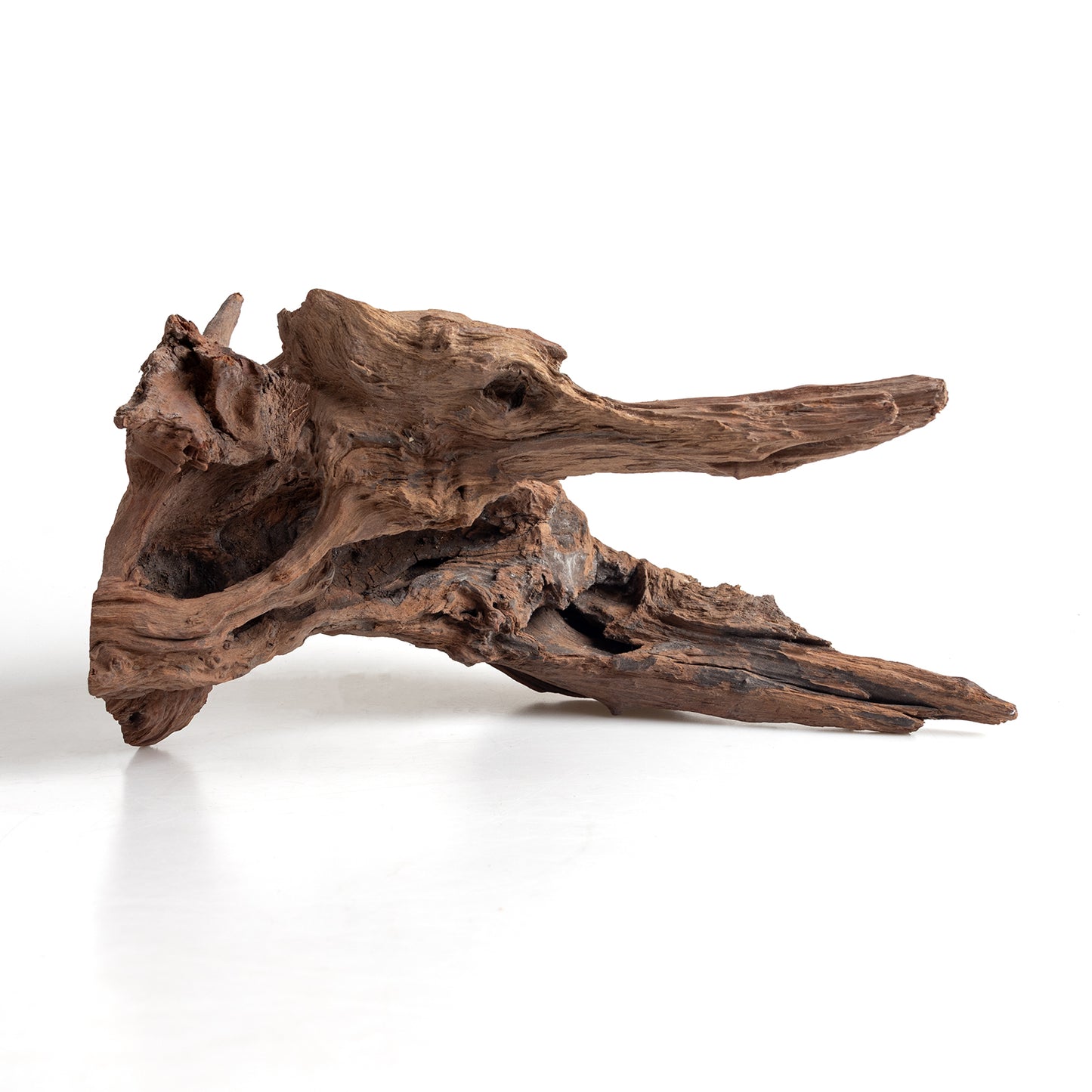WYSIWYG Premium Natural Driftwood for Aquascaping – Exact Piece Shown A4