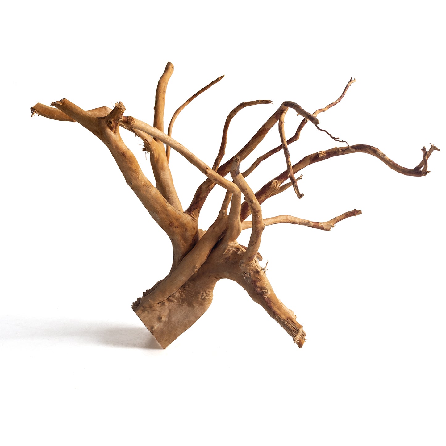 Natural Spider Wood Driftwood for Aquariums & Terrariums – Random Shape, 3 Sizes