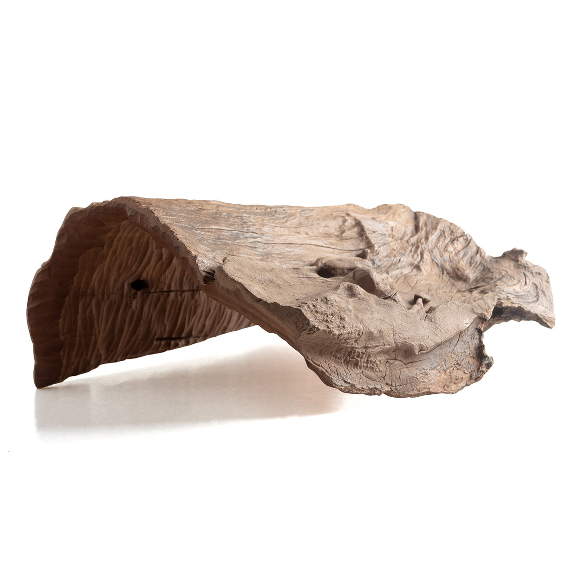 Natural Reptile Wood Slab – Large Driftwood Climbing Platform, Hideout & Terrarium Habitat Decor