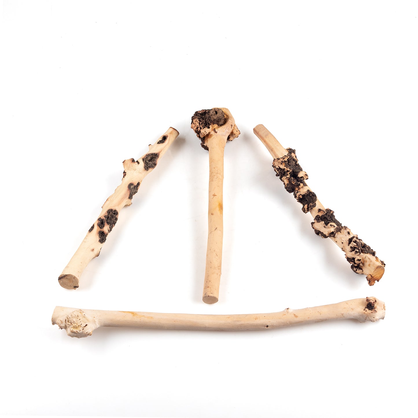 Natural Sava Wood Driftwood – 4-Piece Aquarium Aquascaping Set for Fish Tanks & Terrariums