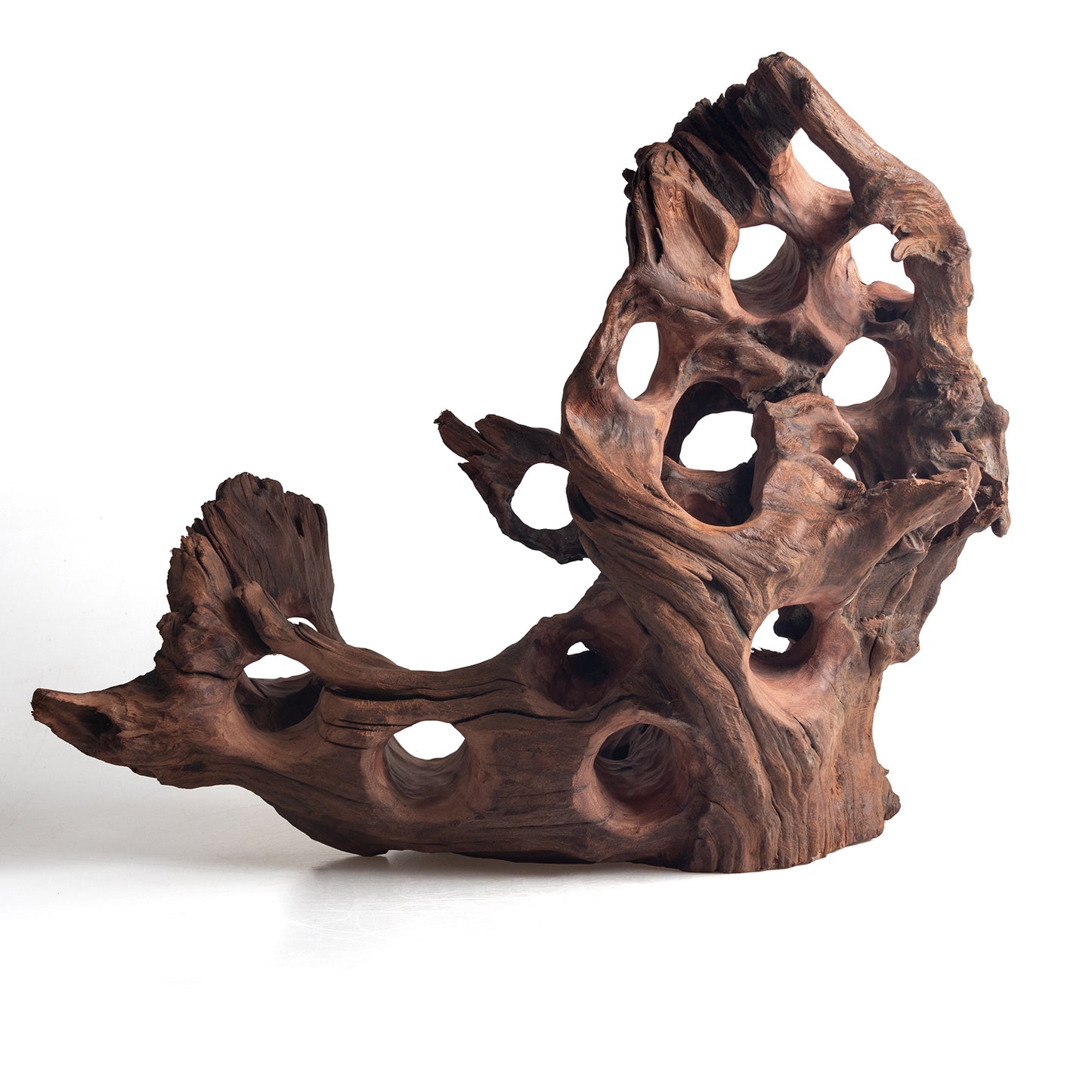 WYSIWYG Premium Natural Driftwood for Aquascaping – Exact Piece Shown A19