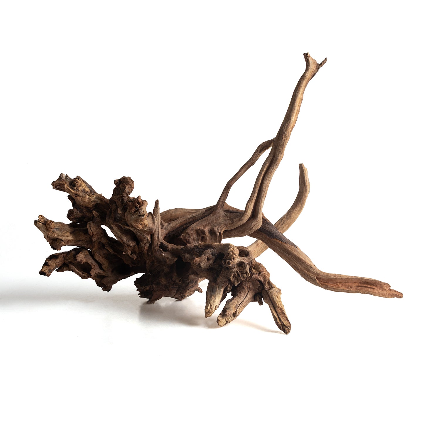 Natural Black Slim Wood Driftwood for Aquariums & Terrariums – Random Shape, 3 Sizes