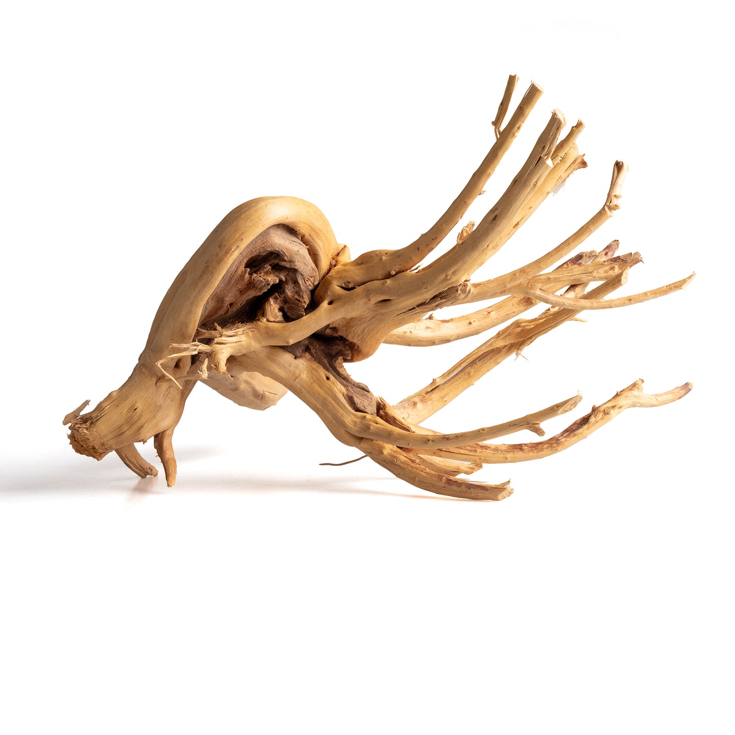 Natural Wood Root Driftwood for Aquariums & Terrariums – Random Unique Shape, 3 Sizes