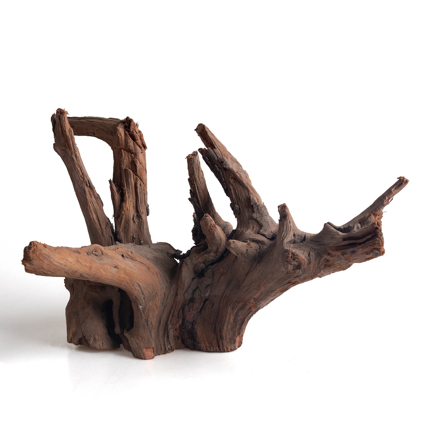 WYSIWYG Premium Natural Driftwood for Aquascaping – Exact Piece Shown A13