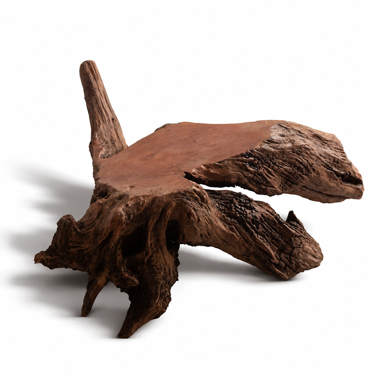 Natural Driftwood Display Base – Rustic Wood Stand for Vases, Floral Arrangements & Home Decor