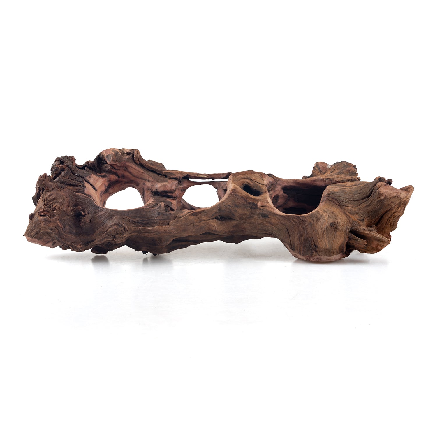 WYSIWYG Premium Natural Driftwood for Aquascaping – Exact Piece Shown A10