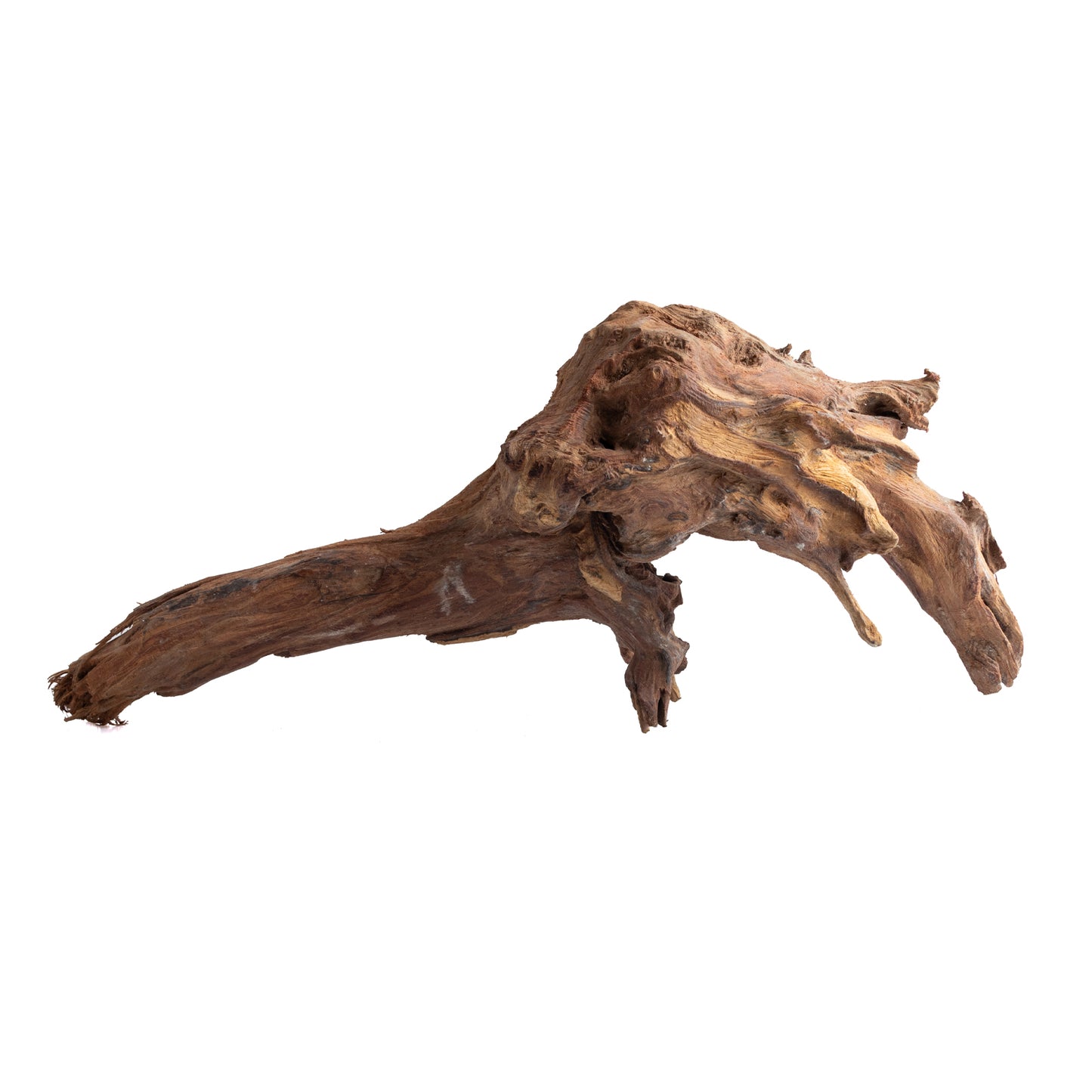 WYSIWYG Premium Natural Driftwood for Aquascaping – Exact Piece Shown A1