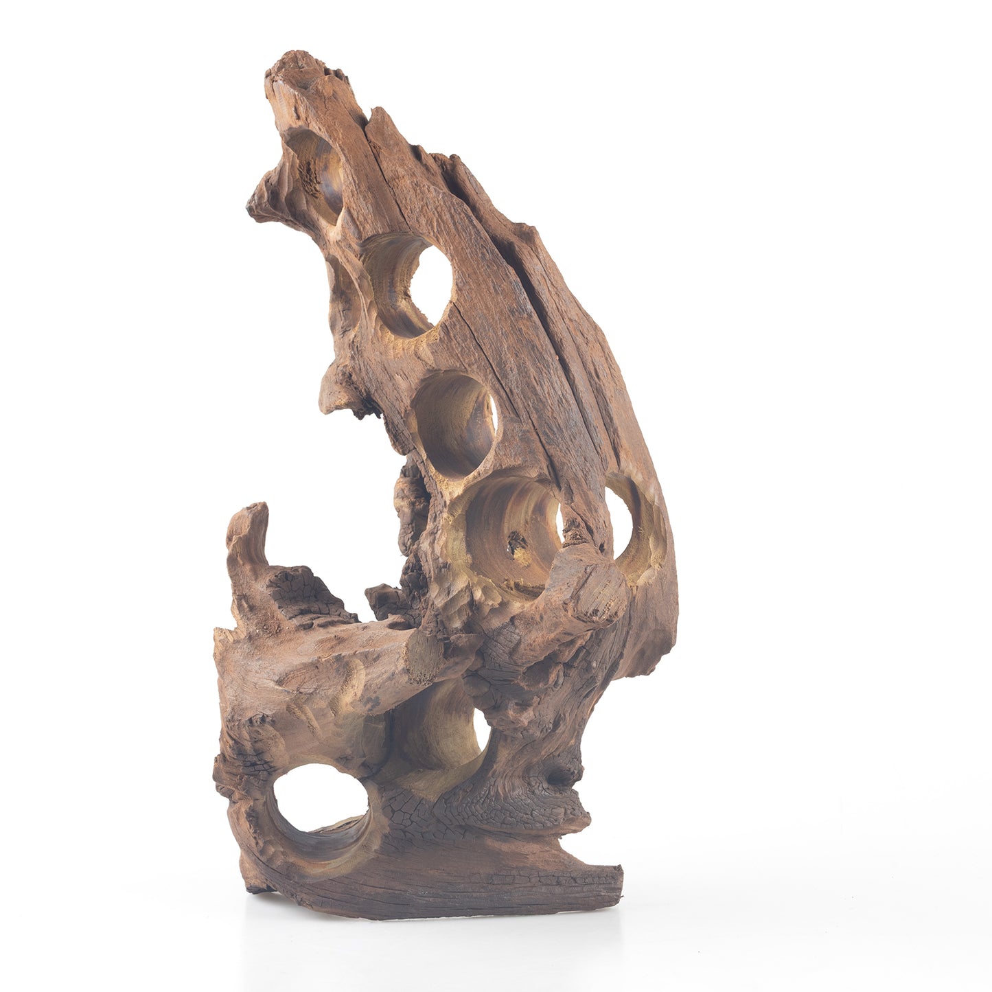 WYSIWYG Premium Natural Driftwood for Aquascaping – Exact Piece Shown A5