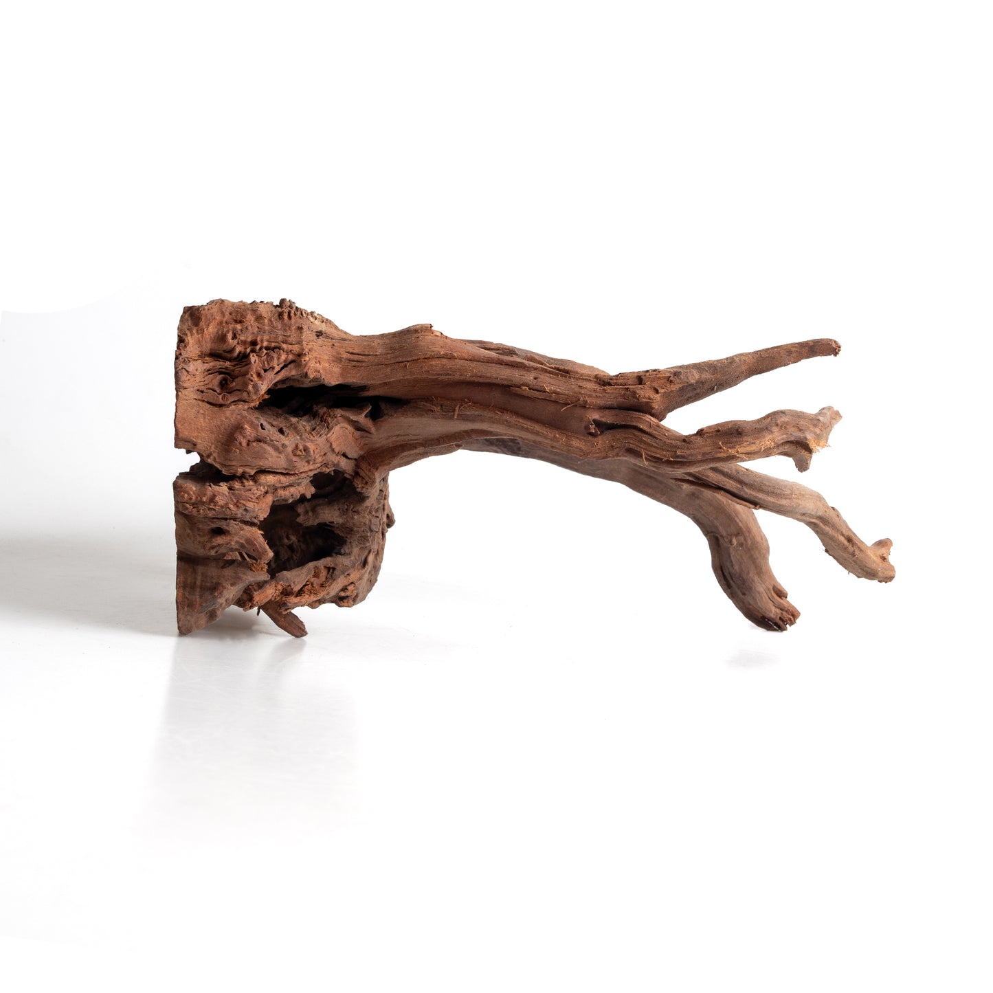 WYSIWYG Premium Natural Driftwood for Aquascaping – Exact Piece Shown A6