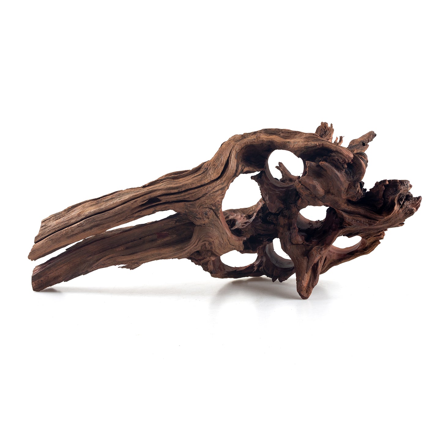 WYSIWYG Premium Natural Driftwood for Aquascaping – Exact Piece Shown A9