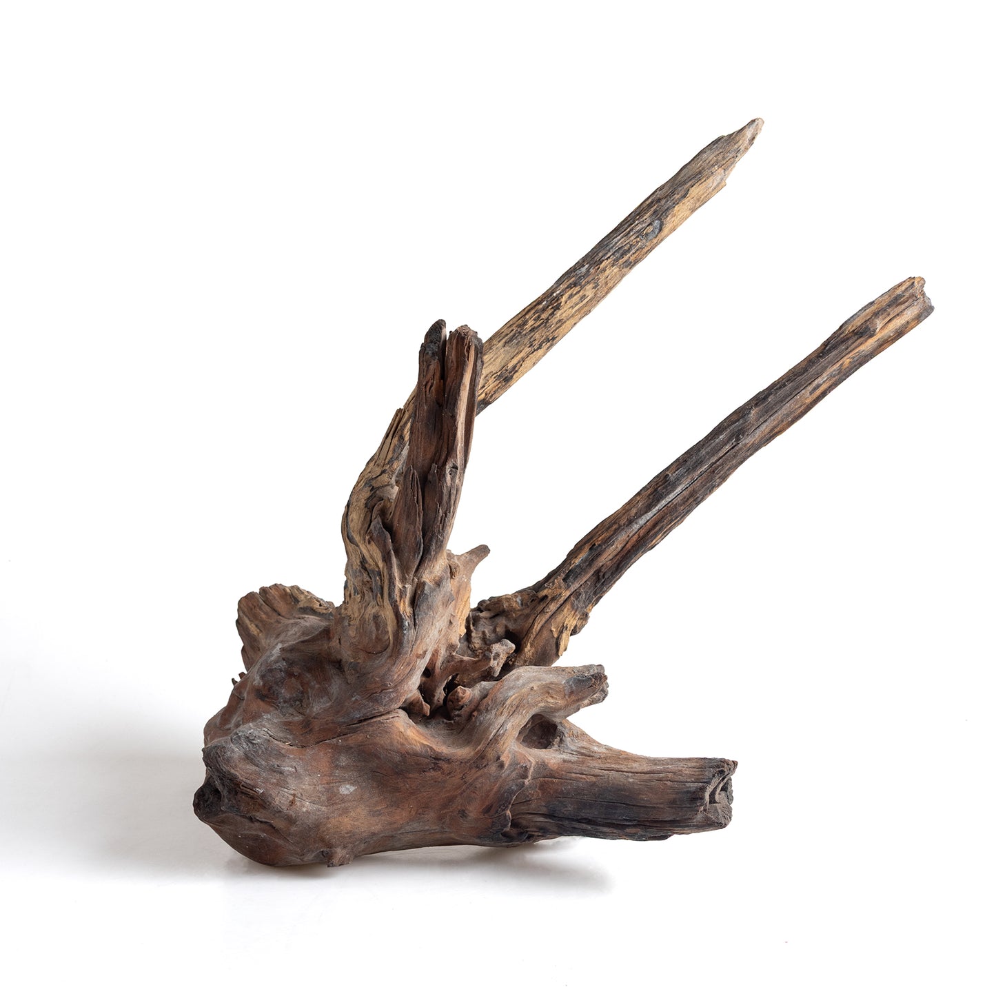 WYSIWYG Premium Natural Driftwood for Aquascaping – Exact Piece Shown A7