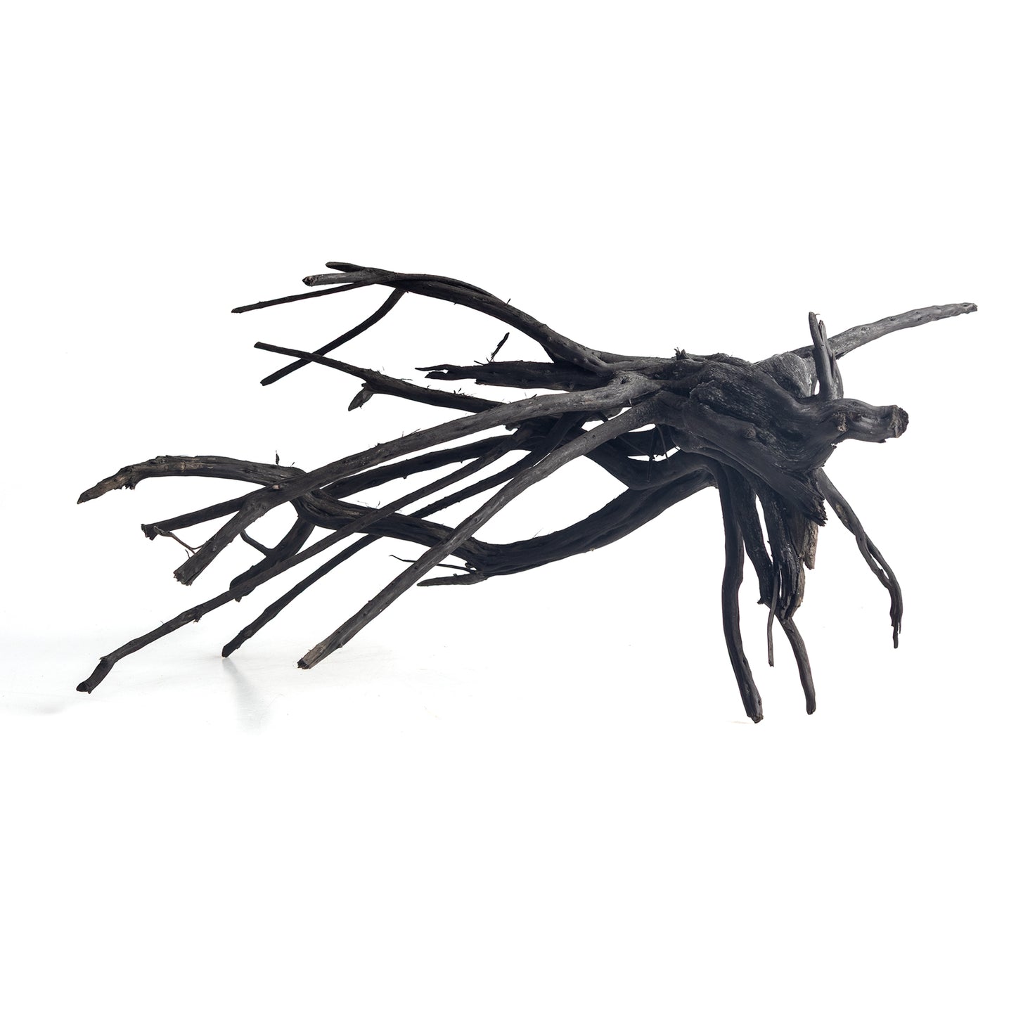 Natural Black Spider Wood Driftwood for Aquariums & Terrariums – Random Shape, 3 Sizes