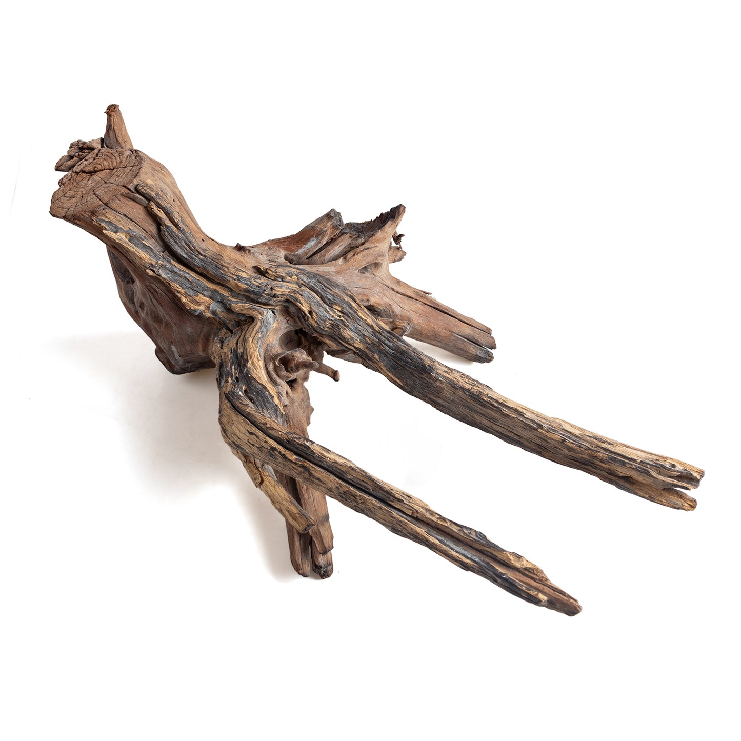 WYSIWYG Premium Natural Driftwood for Aquascaping – Exact Piece Shown A7