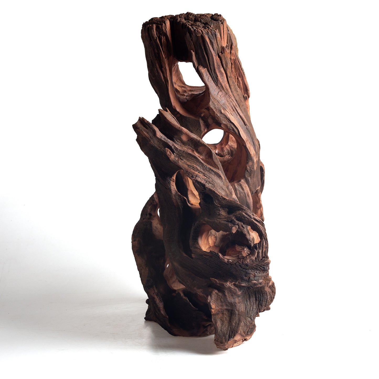 WYSIWYG Premium Natural Driftwood for Aquascaping – Exact Piece Shown A20