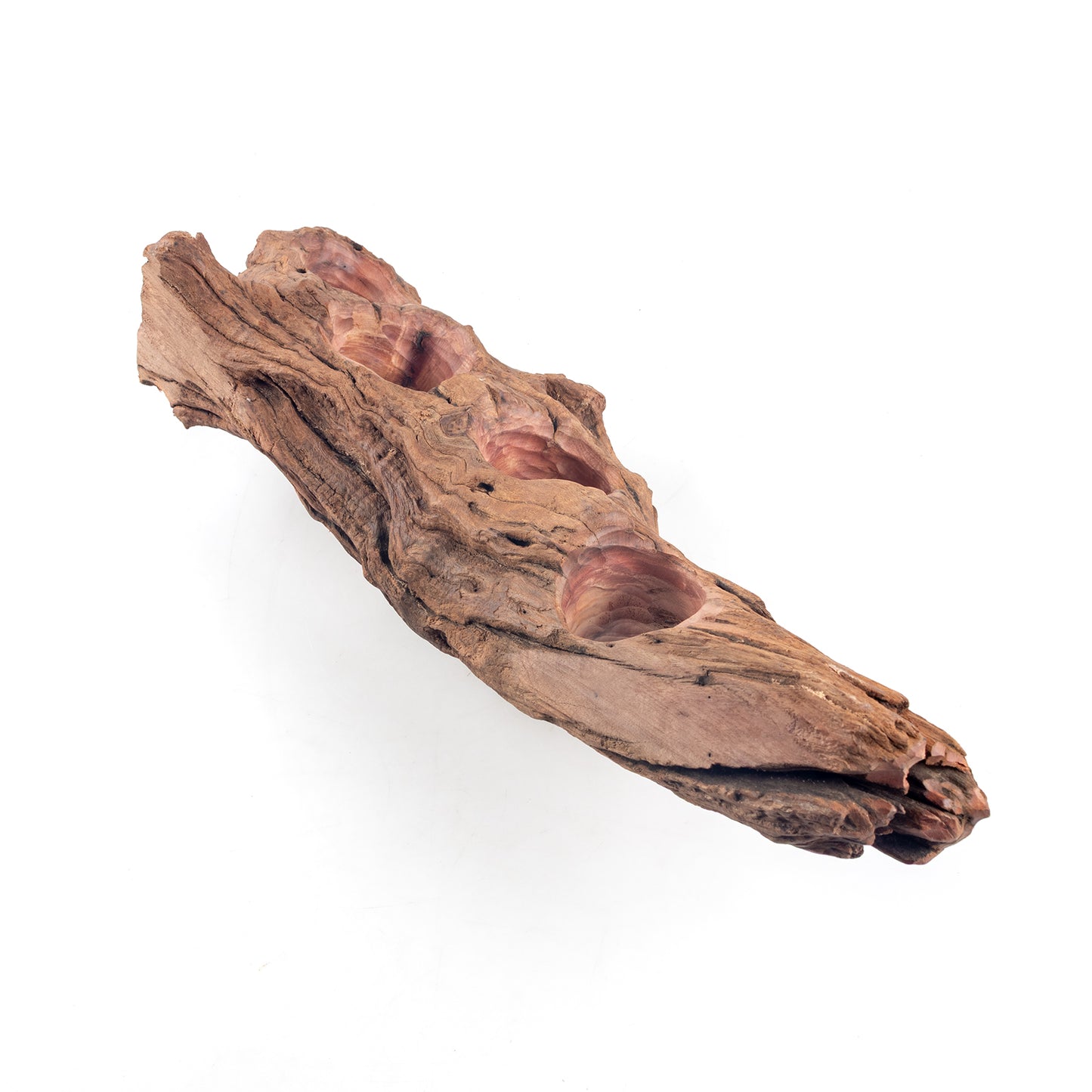 WYSIWYG Premium Natural Driftwood for Aquascaping – Exact Piece Shown A8
