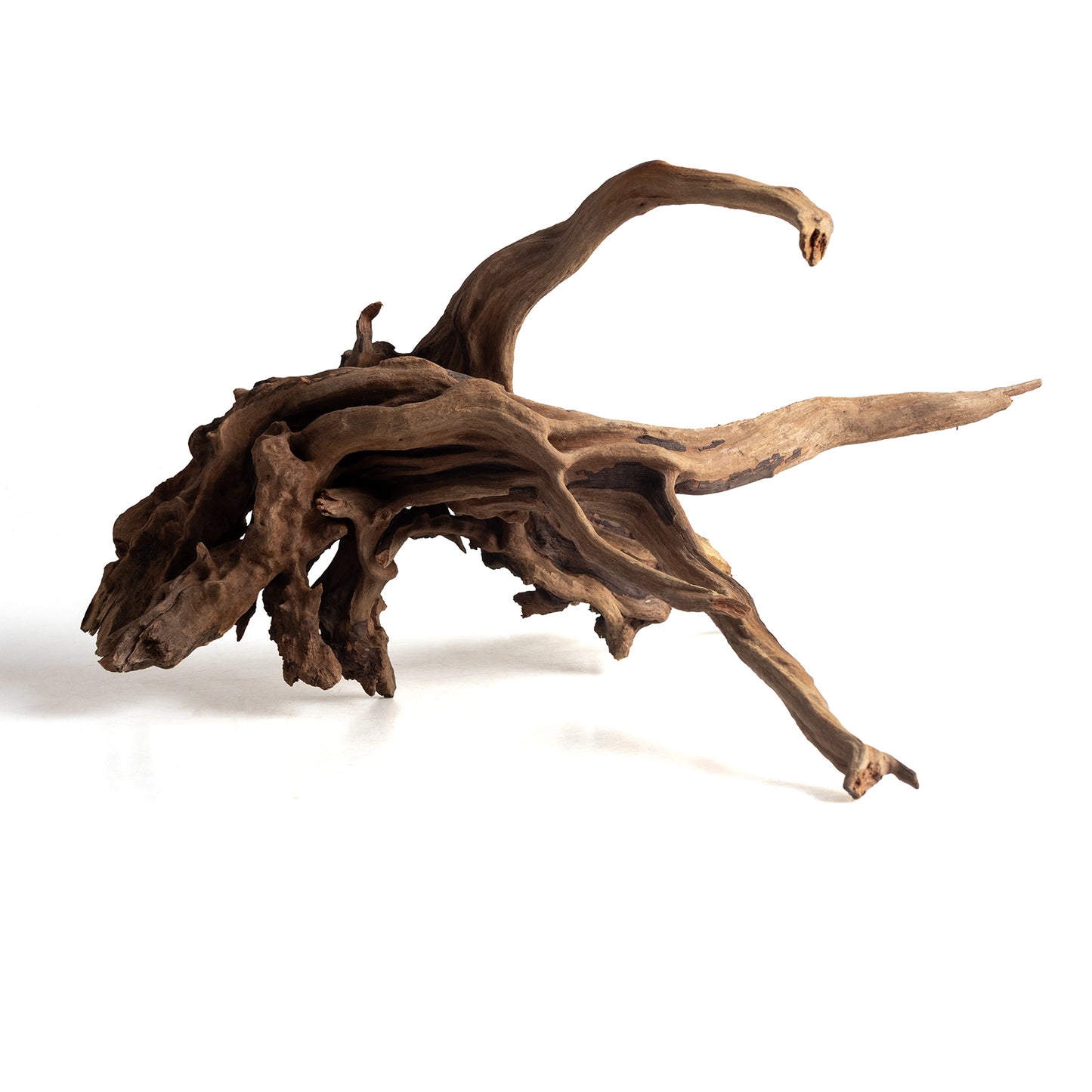 Natural Black Slim Wood Driftwood for Aquariums & Terrariums – Random Shape, 3 Sizes