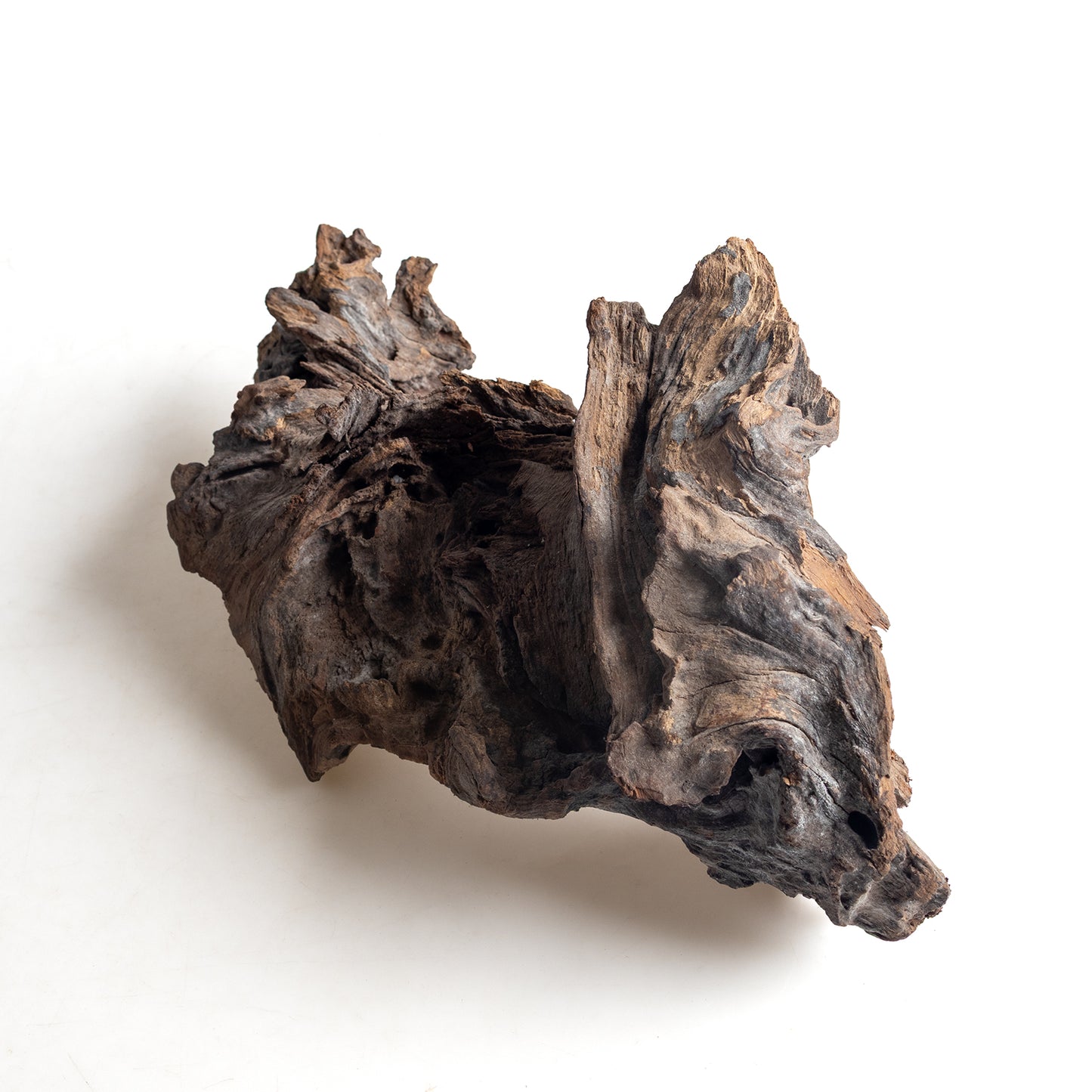 WYSIWYG Premium Natural Driftwood for Aquascaping – Exact Piece Shown A14