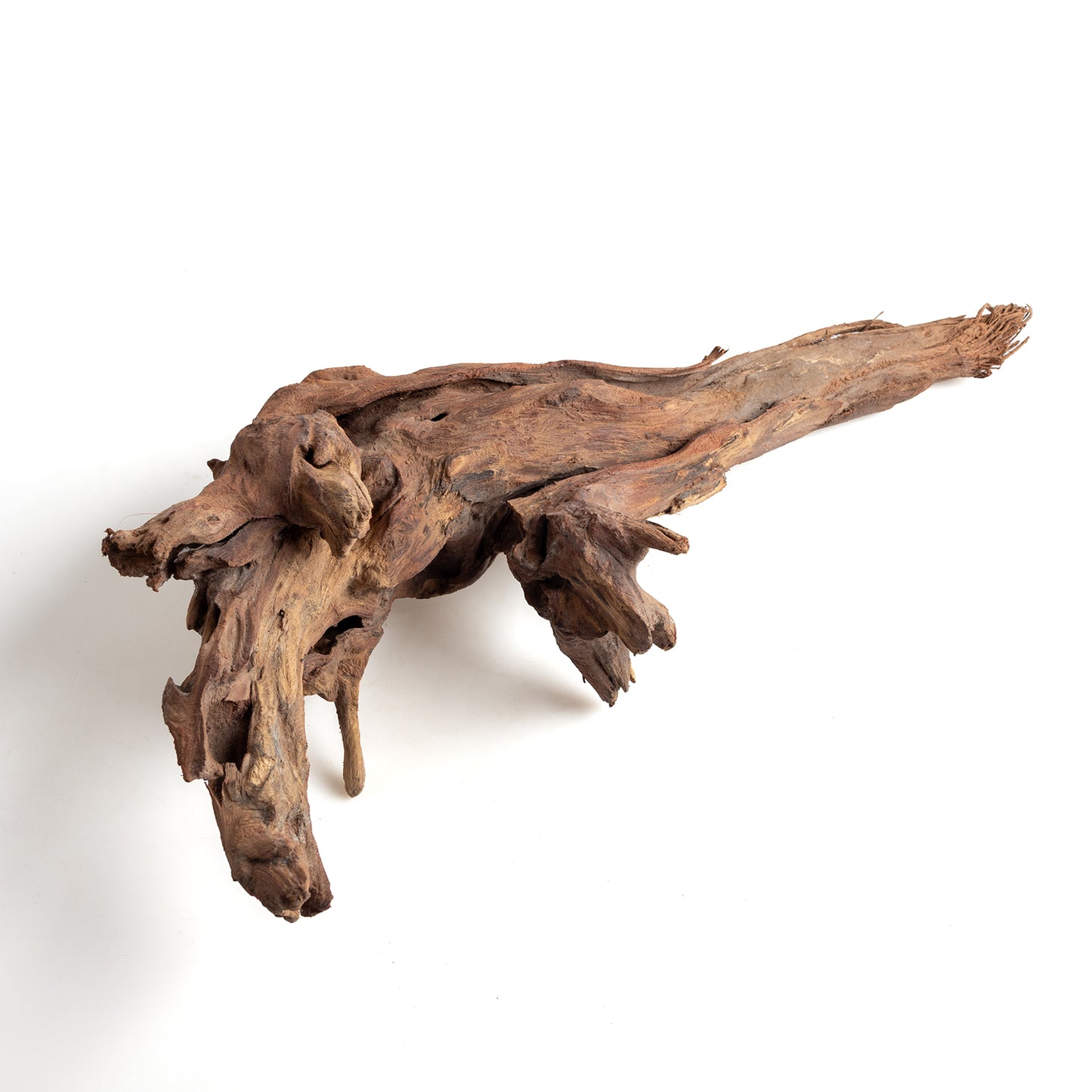 WYSIWYG Premium Natural Driftwood for Aquascaping – Exact Piece Shown A1
