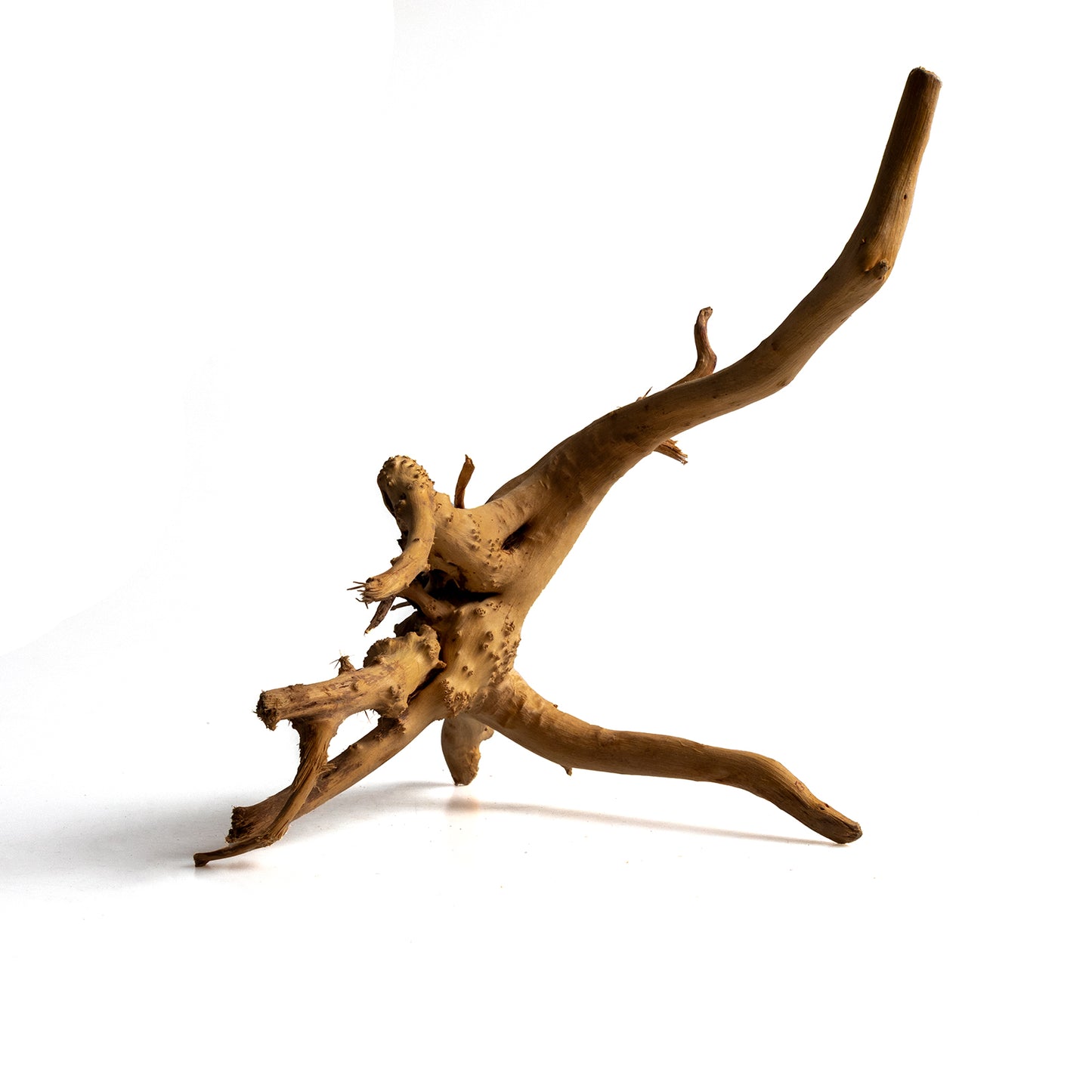 Natural Wood Root Driftwood for Aquariums & Terrariums – Random Unique Shape, 3 Sizes