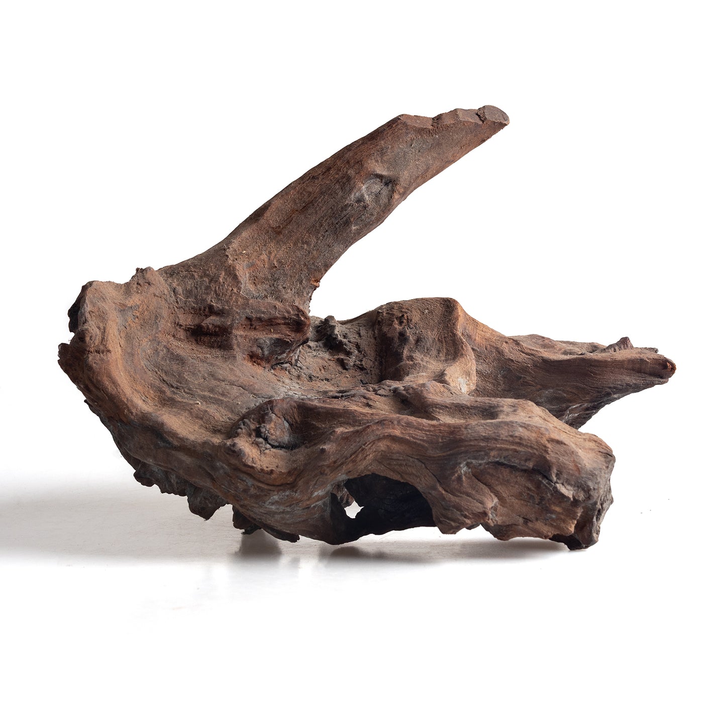 WYSIWYG Premium Natural Driftwood for Aquascaping – Exact Piece Shown A15