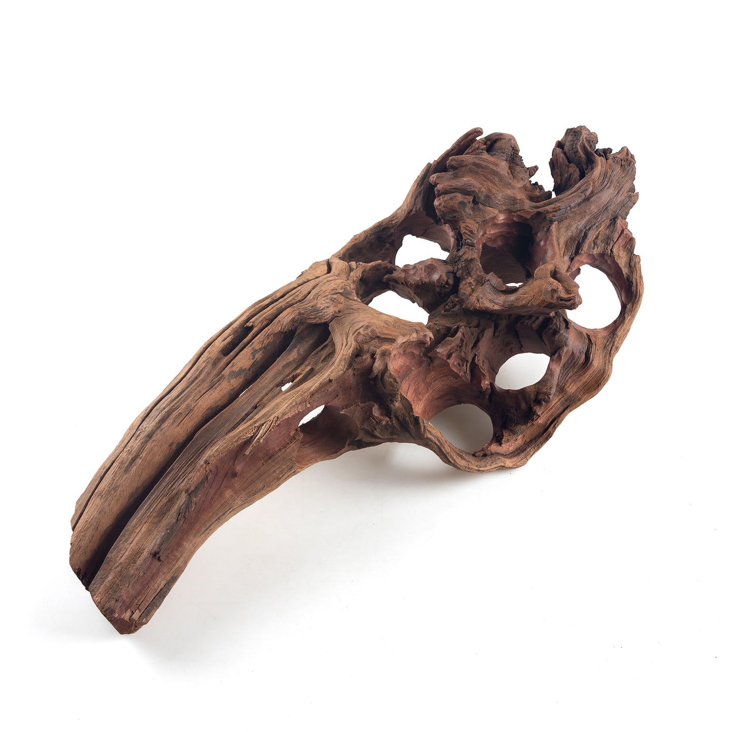 WYSIWYG Premium Natural Driftwood for Aquascaping – Exact Piece Shown A9