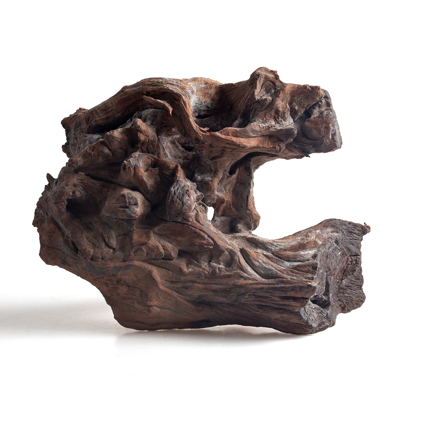 WYSIWYG Premium Natural Driftwood for Aquascaping – Exact Piece Shown A15