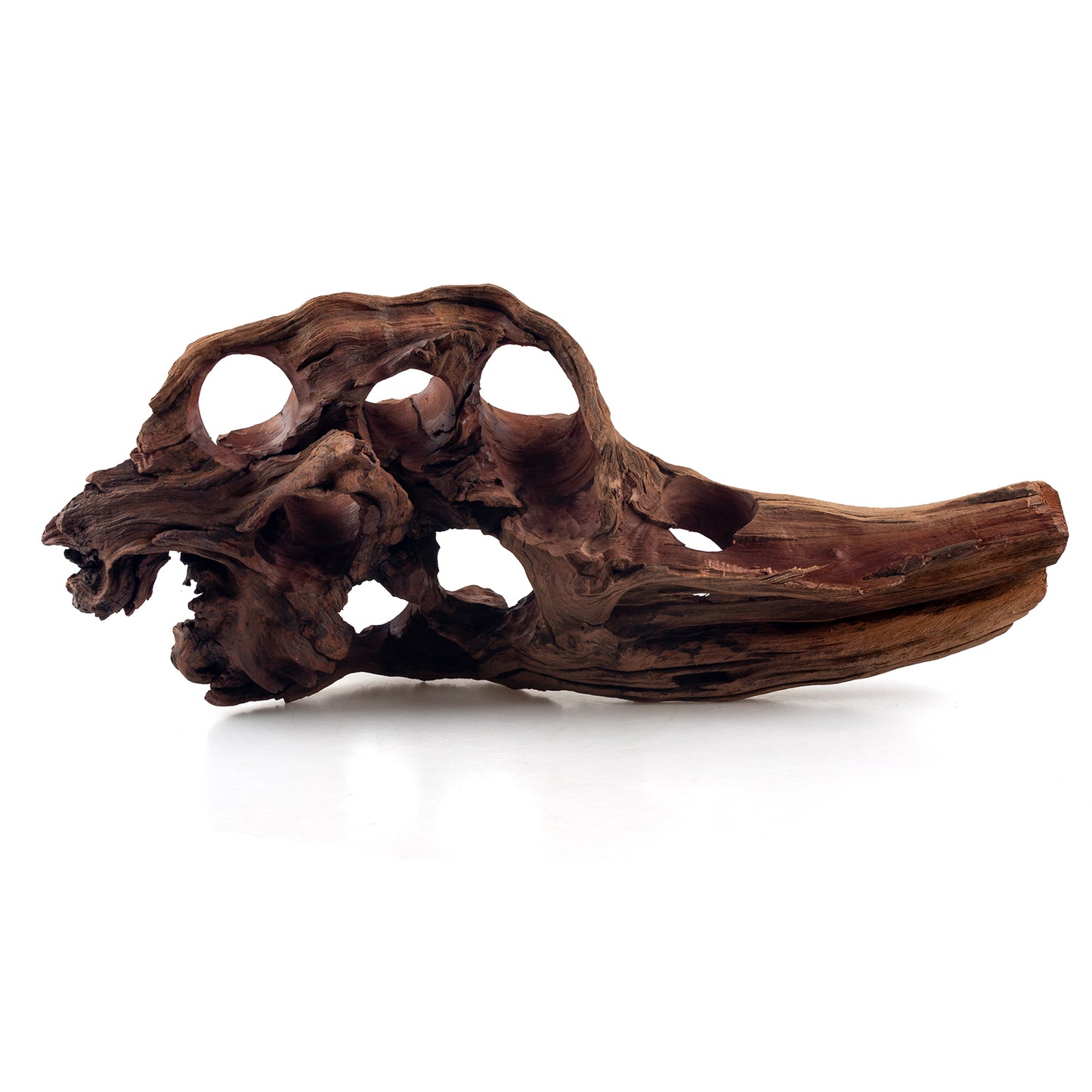 WYSIWYG Premium Natural Driftwood for Aquascaping – Exact Piece Shown A9