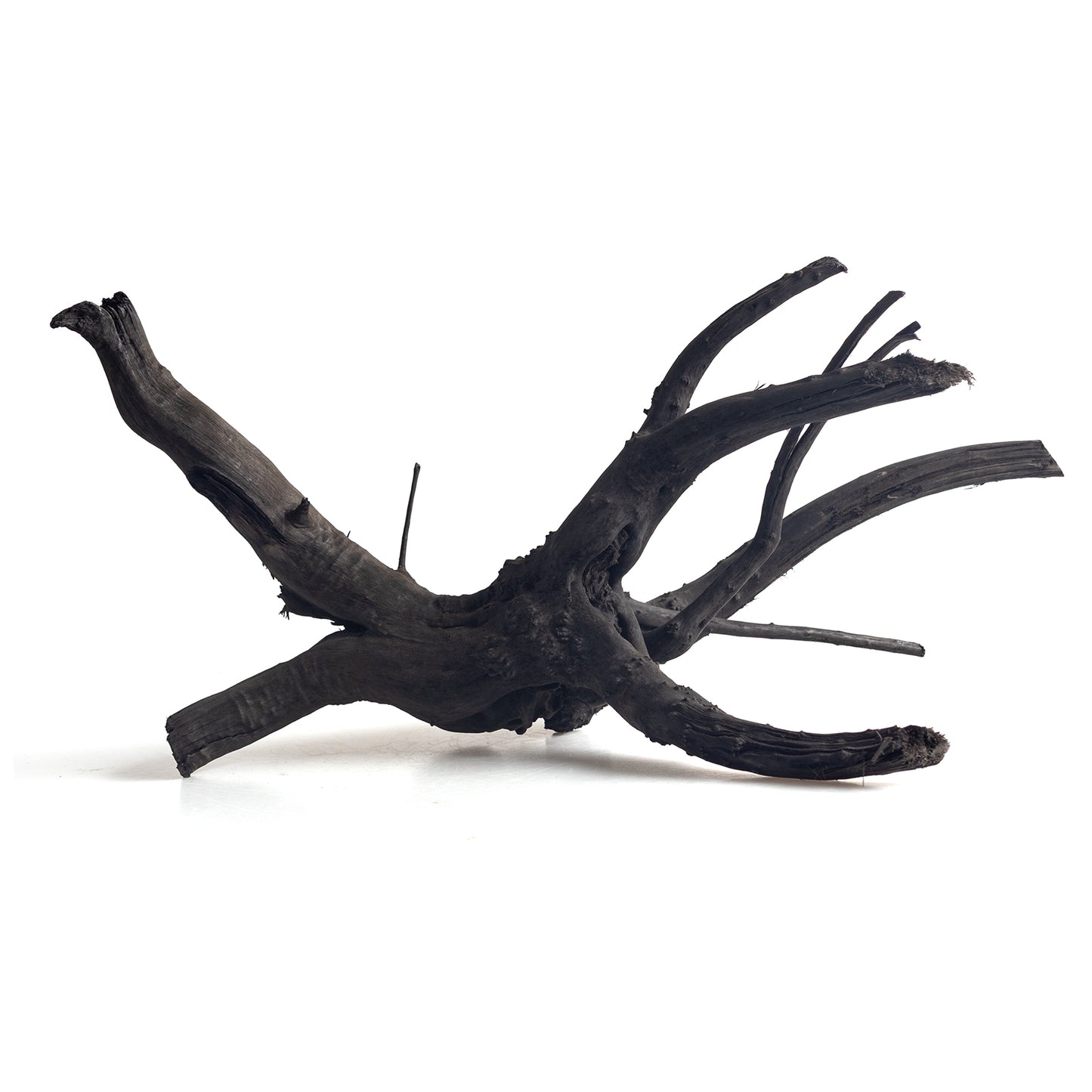 Natural Black Spider Wood Driftwood for Aquariums & Terrariums – Random Shape, 3 Sizes