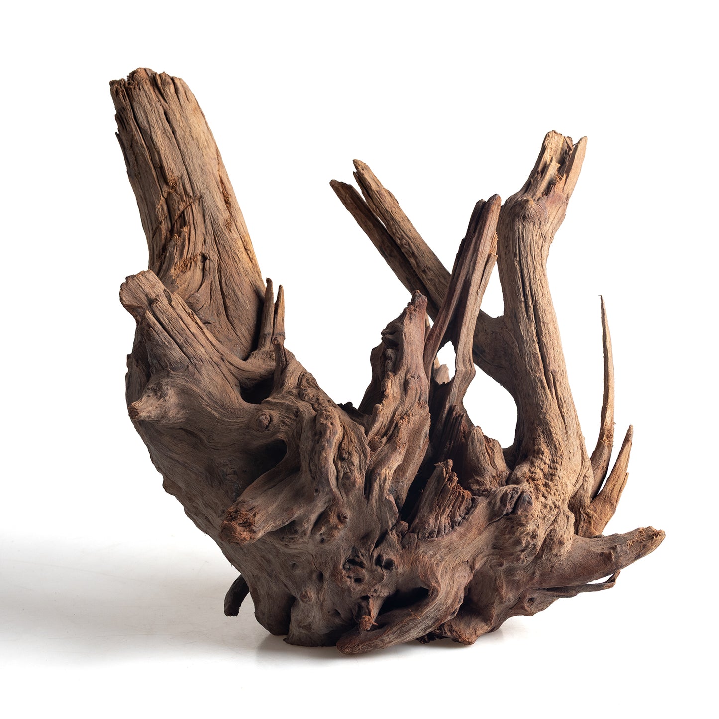 WYSIWYG Premium Natural Driftwood for Aquascaping – Exact Piece Shown A16