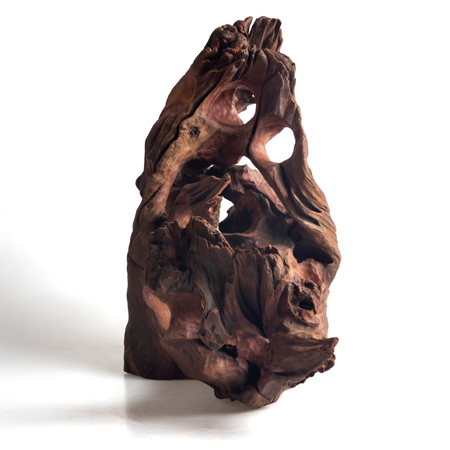 WYSIWYG Premium Natural Driftwood for Aquascaping – Exact Piece Shown A19