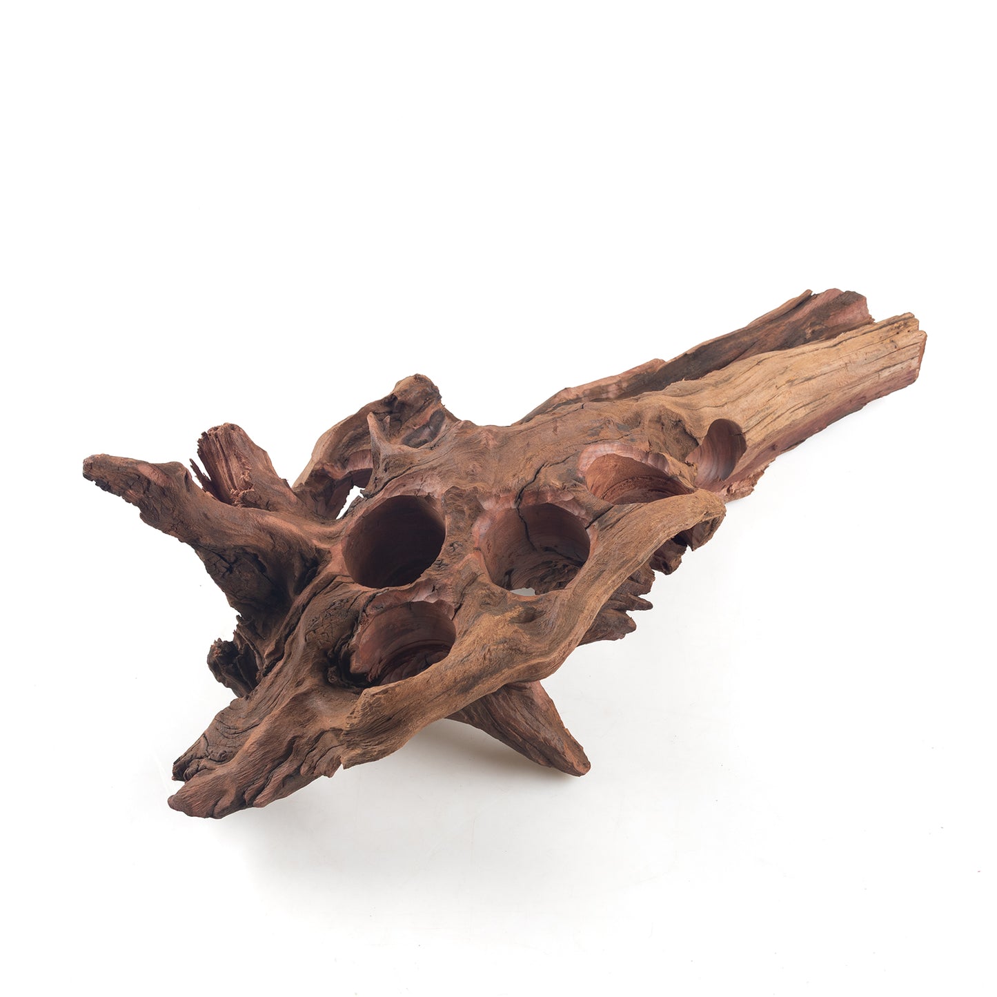 WYSIWYG Premium Natural Driftwood for Aquascaping – Exact Piece Shown A9