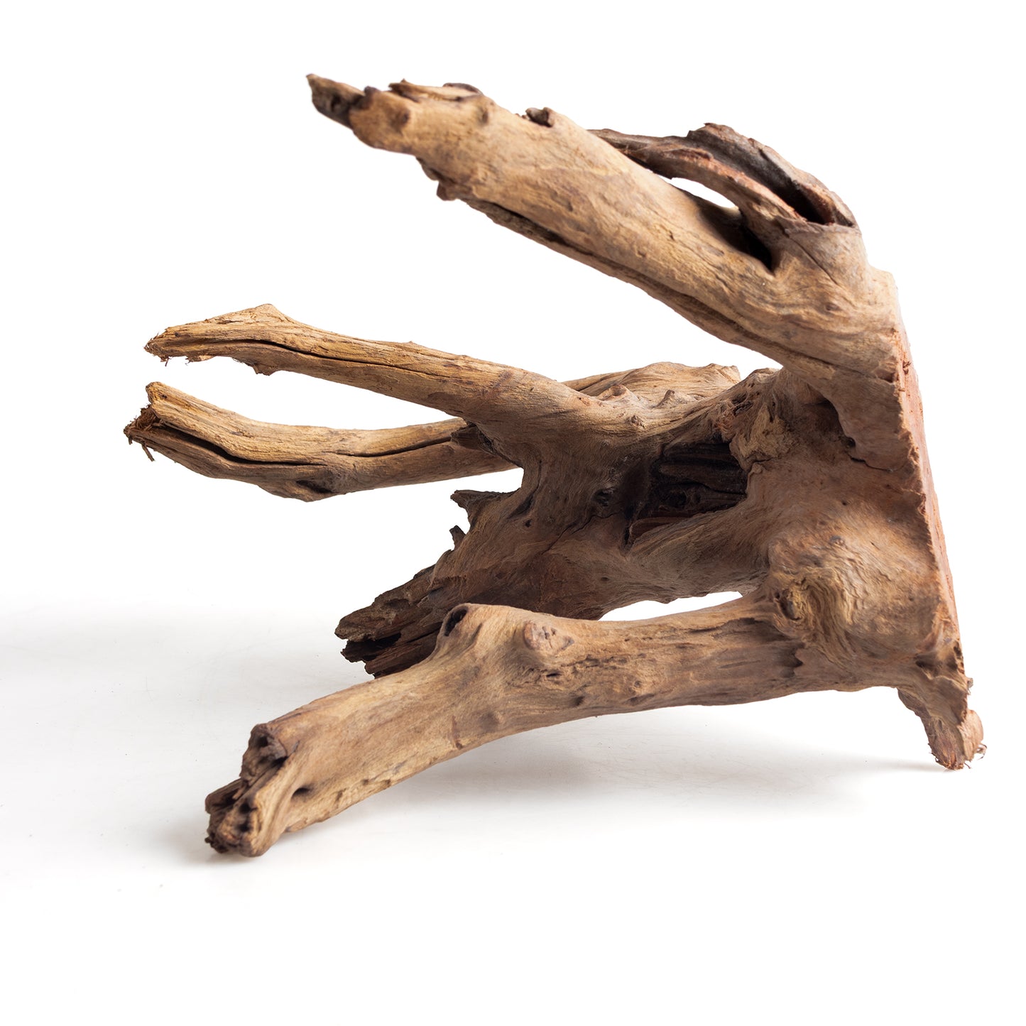 WYSIWYG Premium Natural Driftwood for Aquascaping – Exact Piece Shown A3