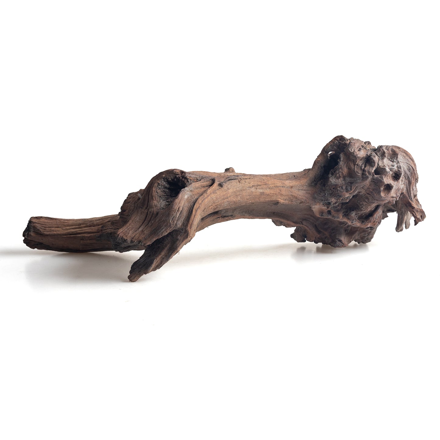 WYSIWYG Premium Natural Driftwood for Aquascaping – Exact Piece Shown A12