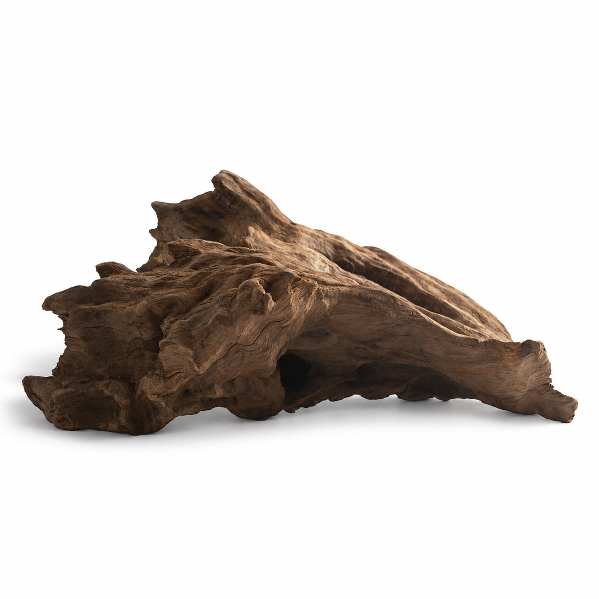 Natural Multiayer Wood – Unique Driftwood for Aquarium Aquascaping, Terrarium & Reptile Habitat Decor