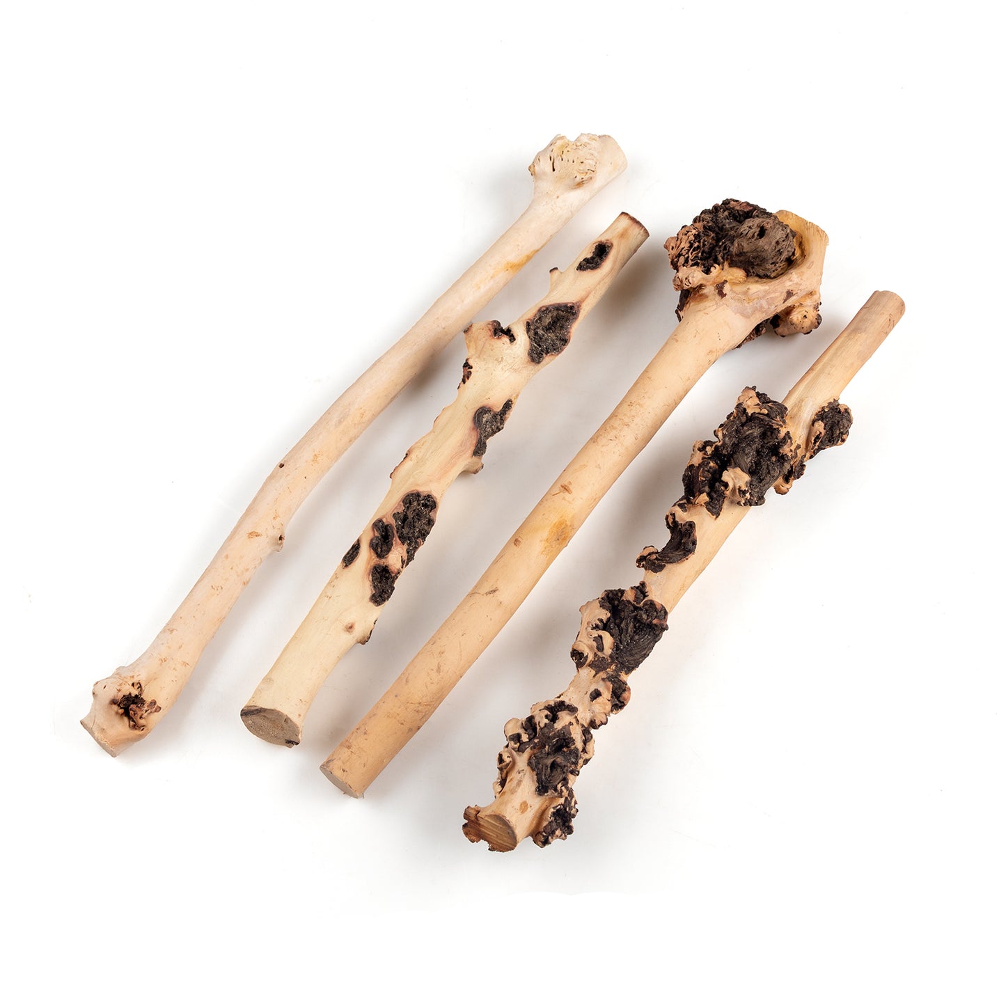 Natural Sava Wood Driftwood – 4-Piece Aquarium Aquascaping Set for Fish Tanks & Terrariums