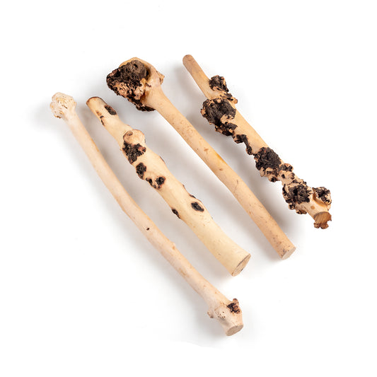 Natural Sava Wood Driftwood – 4-Piece Aquarium Aquascaping Set for Fish Tanks & Terrariums