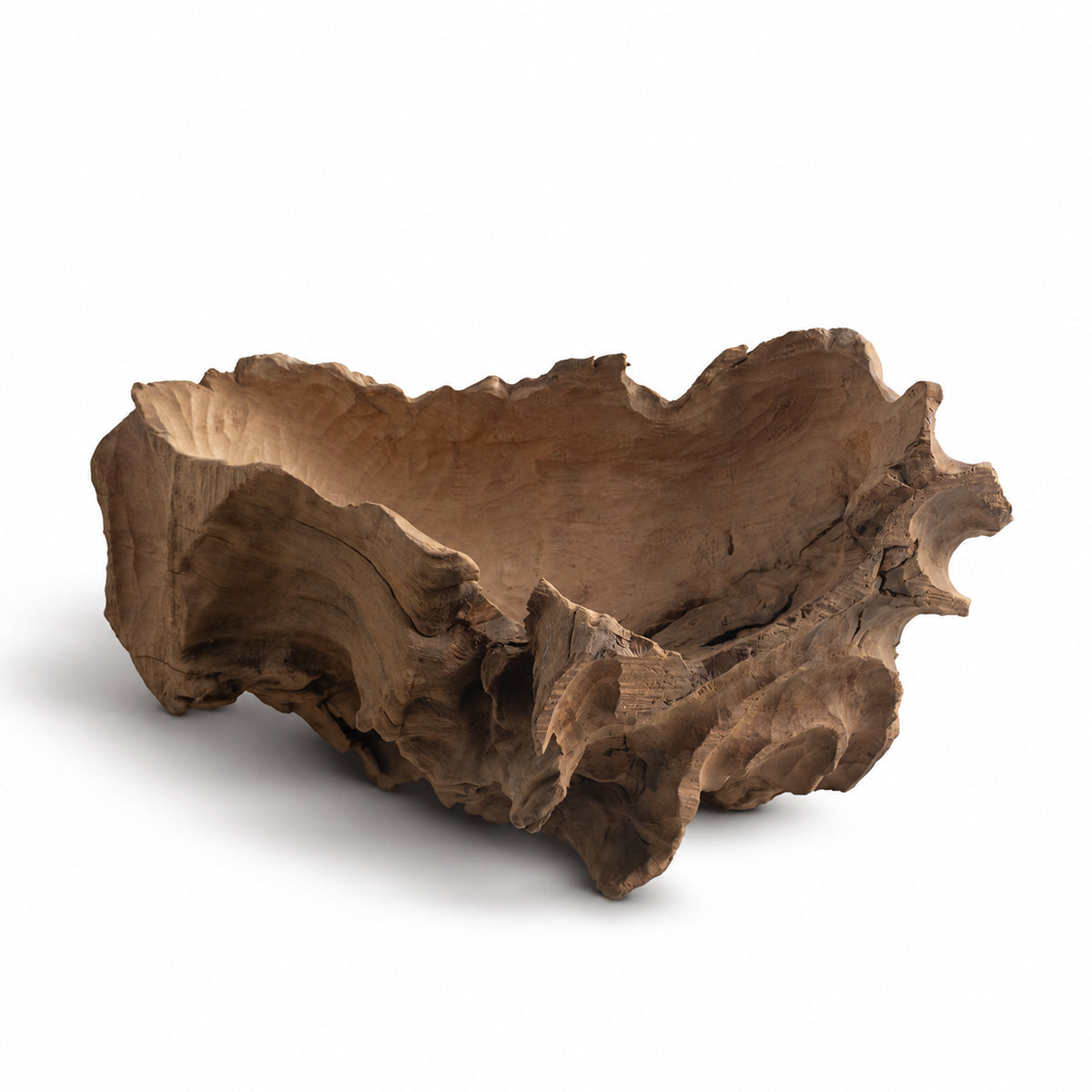 Natural Driftwood Planter – Rustic Wood Root Plant Holder for Succulents, Air Plants & Home Decor