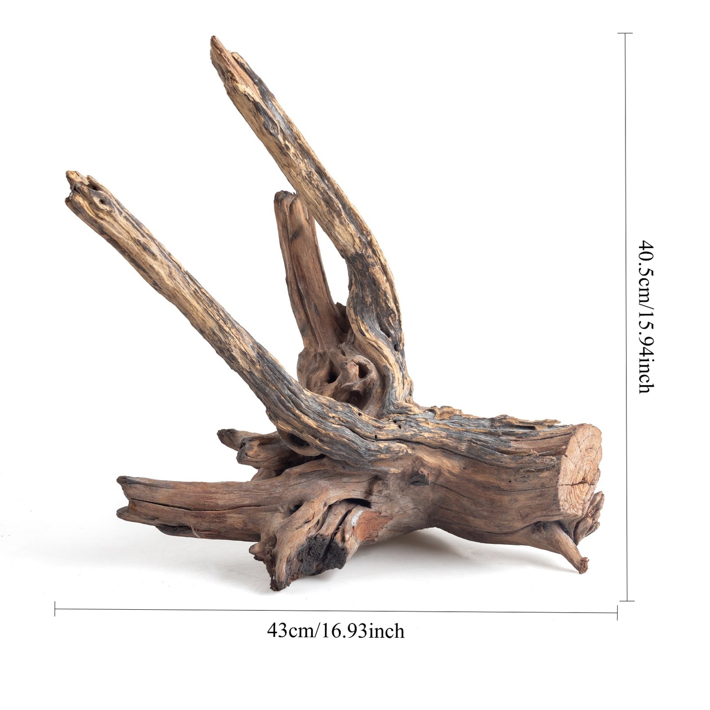 WYSIWYG Premium Natural Driftwood for Aquascaping – Exact Piece Shown A7
