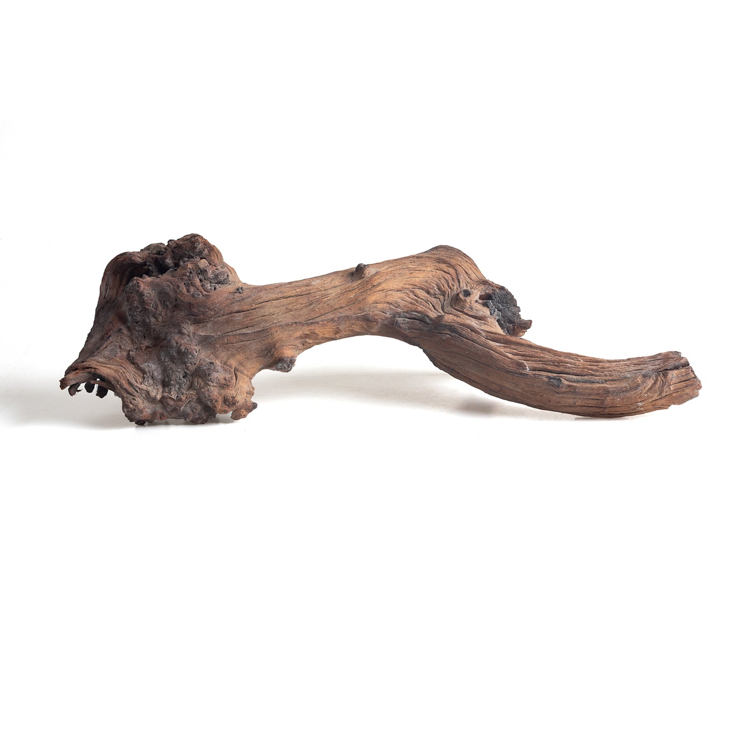WYSIWYG Premium Natural Driftwood for Aquascaping – Exact Piece Shown A12