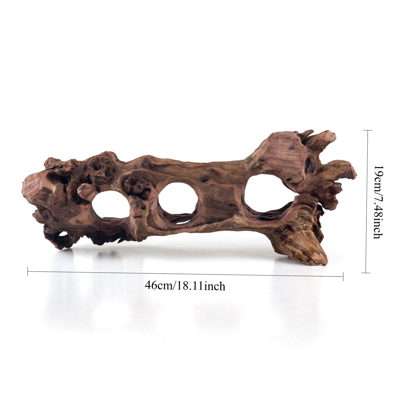 WYSIWYG Premium Natural Driftwood for Aquascaping – Exact Piece Shown A10