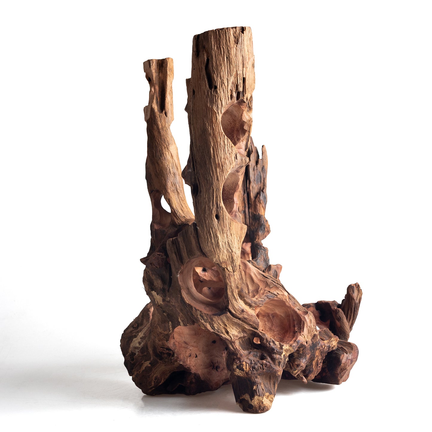 WYSIWYG Premium Natural Driftwood for Aquascaping – Exact Piece Shown A21