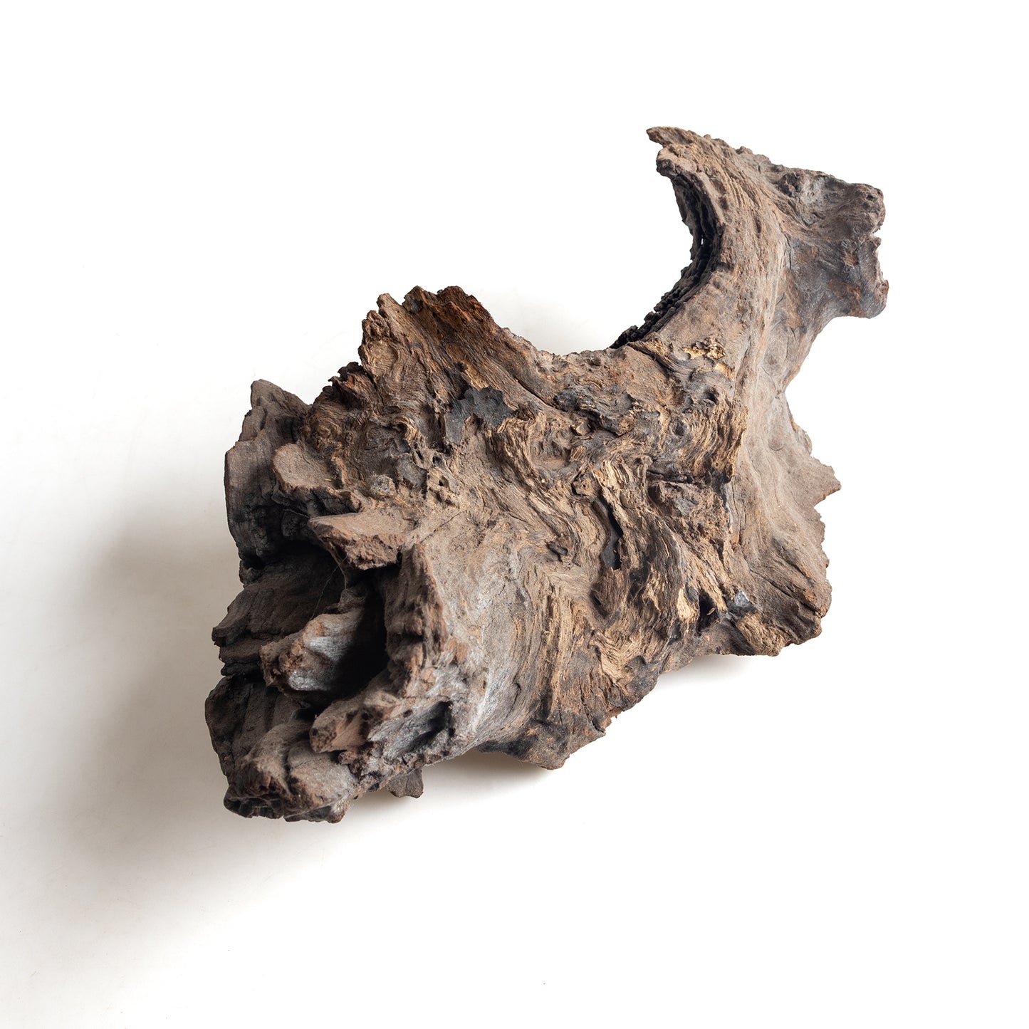 WYSIWYG Premium Natural Driftwood for Aquascaping – Exact Piece Shown A14