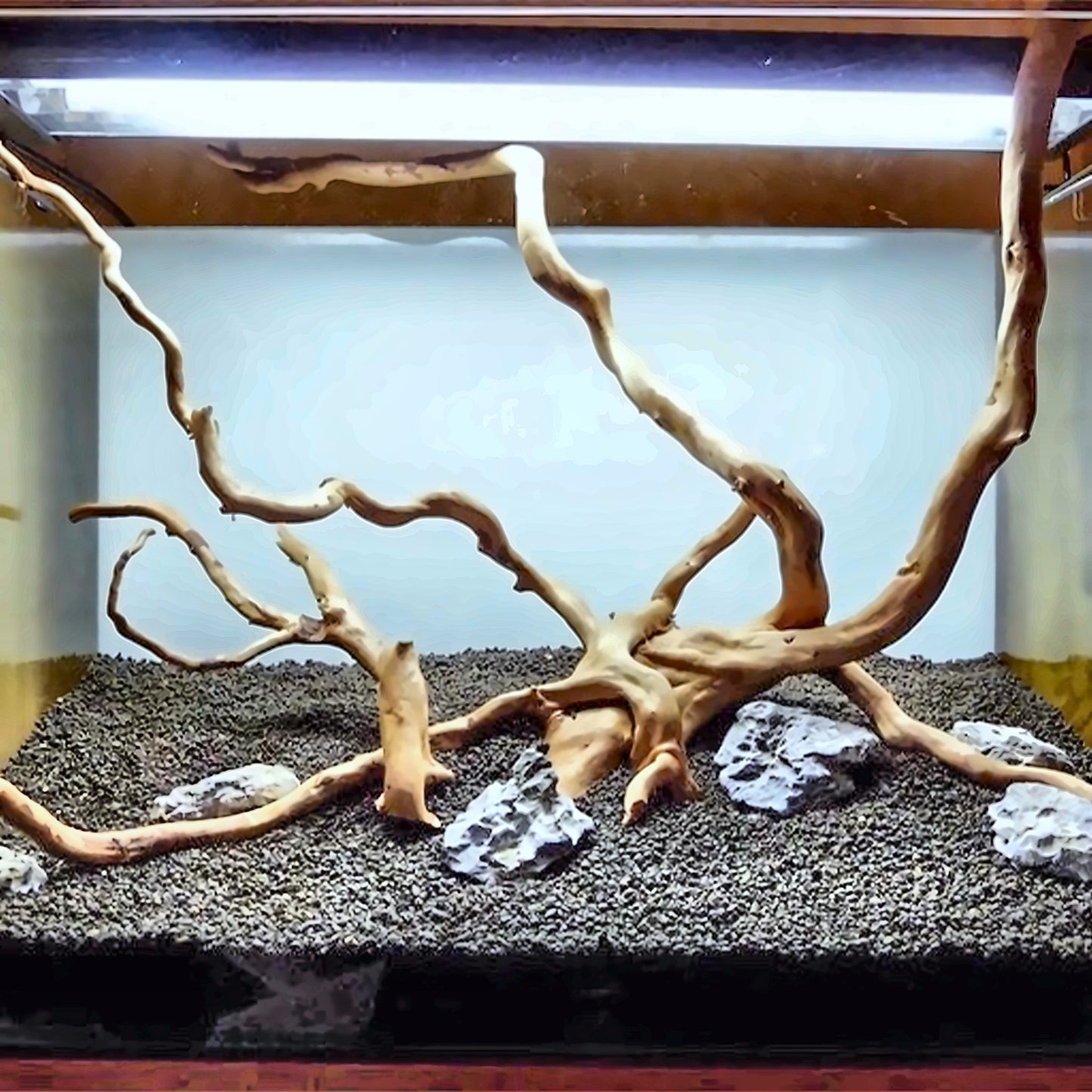 Natural Wood Root Branches, 6 oz / 170 g Aquarium Driftwood Set, 8–16 Inch Roots & Branches for Aquascaping and Terrariums