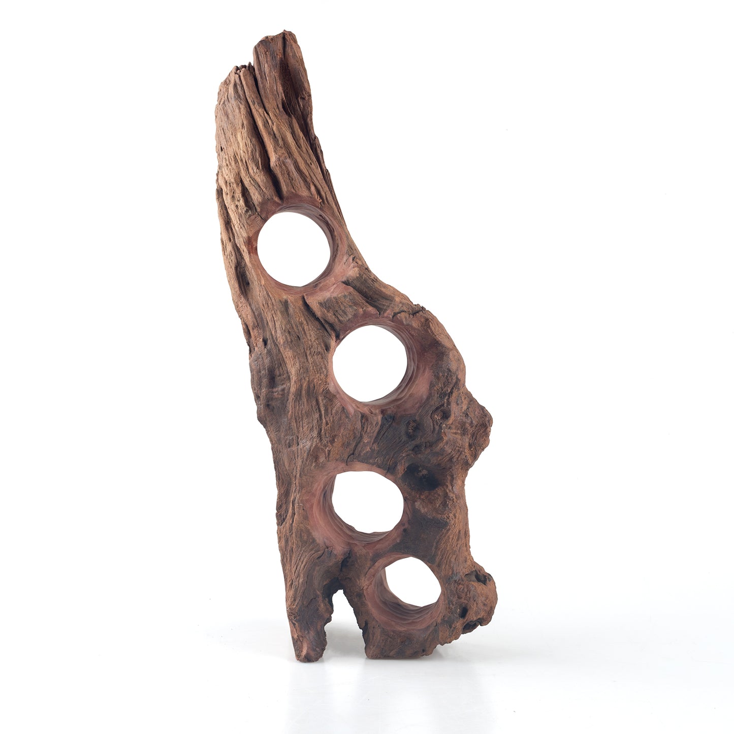 WYSIWYG Premium Natural Driftwood for Aquascaping – Exact Piece Shown A8