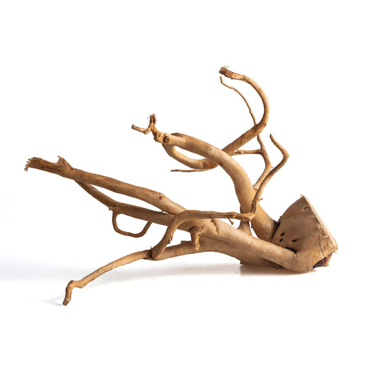 Natural Spider Wood Driftwood for Aquariums & Terrariums – Random Shape, 3 Sizes