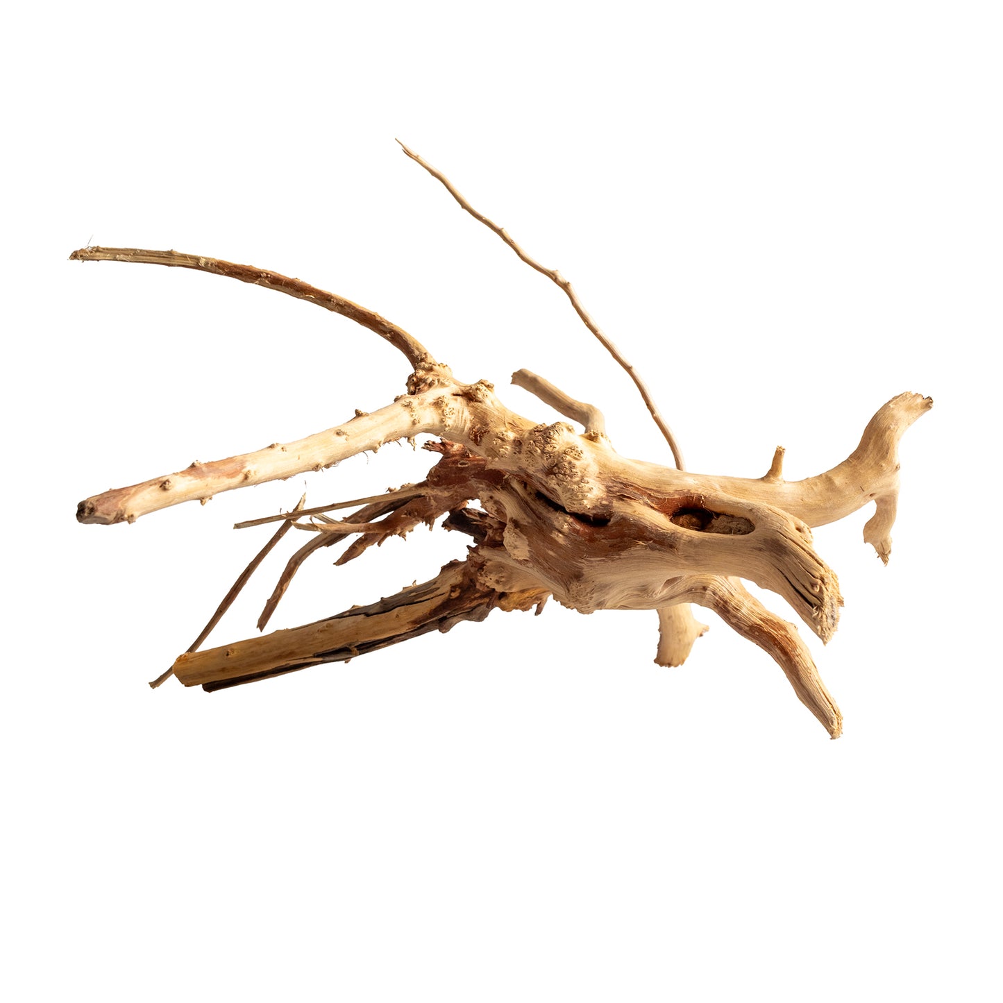 Natural Wood Root Driftwood for Aquariums & Terrariums – Random Unique Shape, 3 Sizes