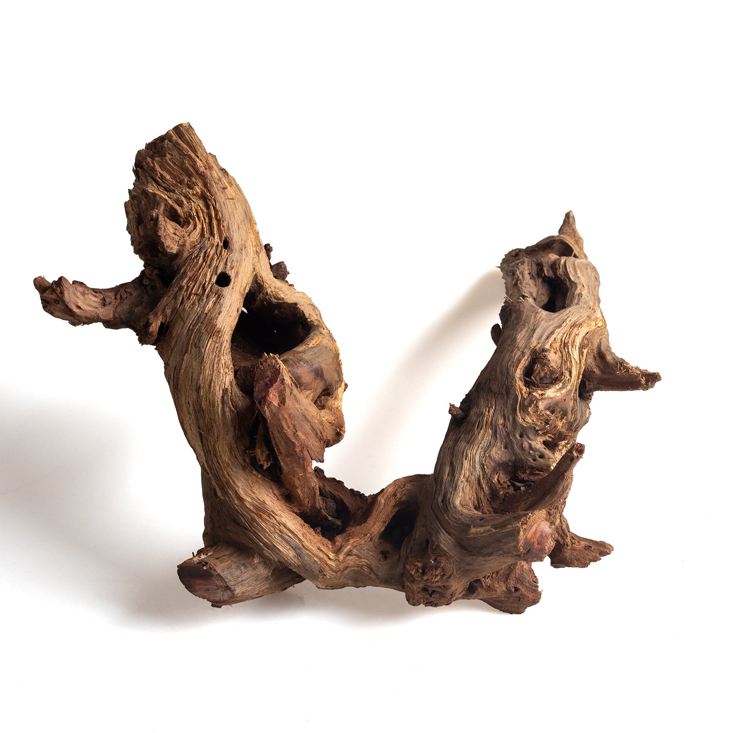 Natural Bell Wood Driftwood for Aquariums & Terrariums – Random Shape, 3 Sizes