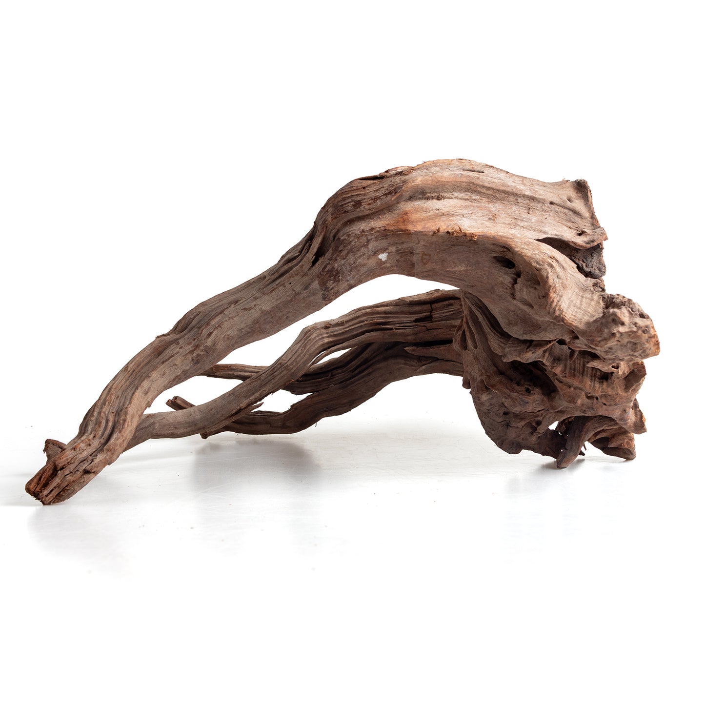 WYSIWYG Premium Natural Driftwood for Aquascaping – Exact Piece Shown A6