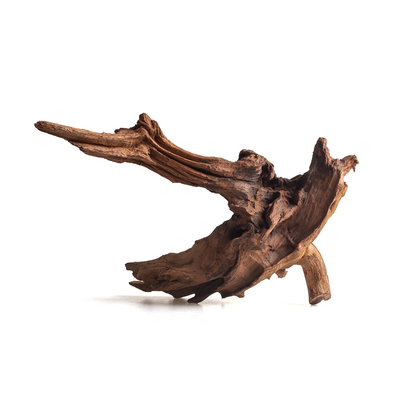 Natural Bell Wood Driftwood for Aquariums & Terrariums – Random Shape, 3 Sizes